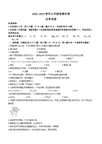 2023年河南省周口市郸城县优质中学中考二模联考化学试题(含答案)