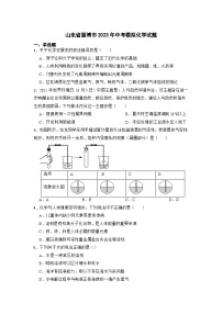 2023年山东省淄博市中考模拟化学试题 (2)