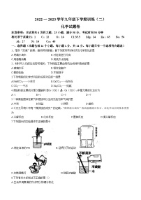 2023年河南省安阳市文峰区安阳正一中学二模化学试题（含答案）