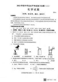 2023年山东省潍坊市中考二模化学试题