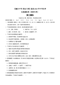 黄金卷3-【赢在中考·黄金八卷】备战2023年中考化学全真模拟卷（深圳专用）