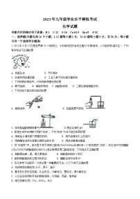 2023年山东省德州市宁津县中考二模化学试题（含答案）