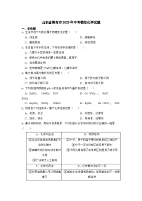 2023年山东省青岛市中考模拟化学试题