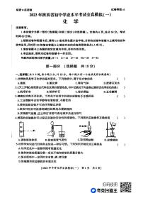 2023年陕西省安康市初中学业水平考试全真模拟化学试题一