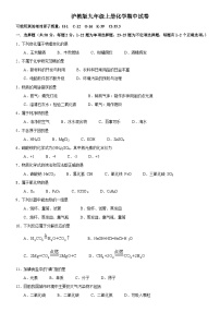 沪教版九年级上册化学期中试卷1