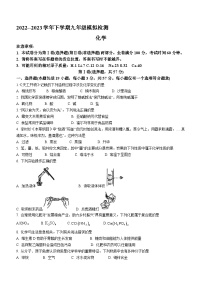 2023年四川省成都市高新区中考二模化学试题（含答案）