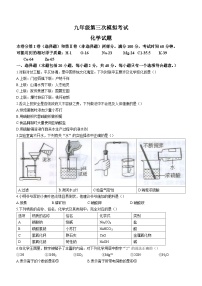 2023年山东省泰安市新泰市中考三模化学试题（含答案）