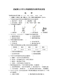 甘肃省武威市第九中学2023年中考第四次诊断考试化学试卷（无答案）