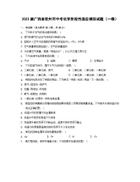 2023届广西省钦州市中考化学阶段性适应模拟试题（一模）无答案