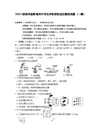 2023届贵州省黔南州中考化学阶段性适应模拟试题（一模）含解析