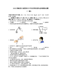 2023届黑龙江省虎林市中考化学阶段性适应模拟试题（一模）含解析