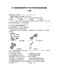 2023届湖南省张家界市中考化学阶段性适应模拟试题（一模）含解析