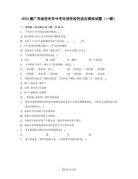 2023届广西省钦州市中考化学阶段性适应模拟试题（一模）无答案