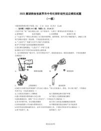 2023届湖南省张家界市中考化学阶段性适应模拟试题（一模）含解析