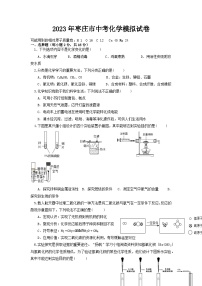 2023年山东省枣庄市中考模拟化学试卷3