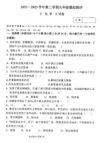 2023年河南省新乡市河南师范大学附属中学中考三模化学试题