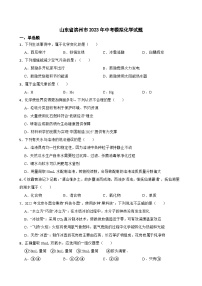 2023年山东省滨州市中考模拟化学试题（含答案）