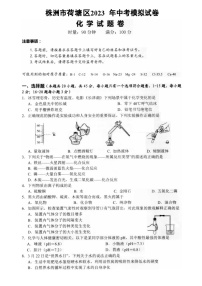 2023年湖南省株洲市荷塘区中考模拟化学试卷