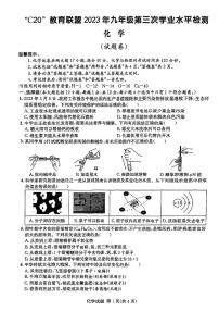 2023届安徽省C20教育联盟九年级中考三模化学试卷+答案