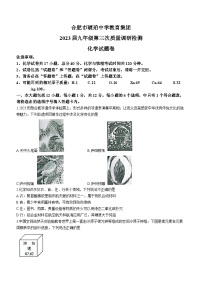 2023年安徽省合肥市蜀山区琥珀中学中考三模化学试题（含答案）