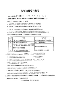 2023年江苏省徐州市沛县中考三模化学试题