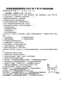 2023年甘肃省张掖市甘州区思源实验学校5月中考模拟化学试卷