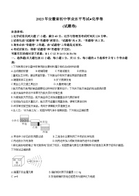 2023年6月安徽省芜湖市部分学校中考模拟化学试题（含答案）