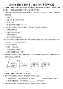 2022年浙江省嘉兴市、舟山市中考化学试卷【含答案】