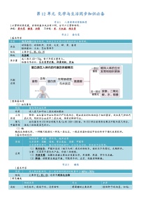 【期末复习】第12单元 化学与生活——初中化学九年级单元知识点梳理（人教版）