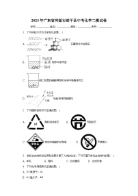 2023年广东省河源市连平县中考化学二模试卷（含解析）