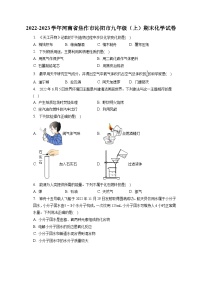 2022-2023学年河南省焦作市沁阳市九年级（上）期末化学试卷（含解析）