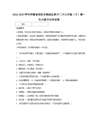 2022-2023学年河南省洛阳市涧西区东升二中九年级（下）第一次大练习化学试卷（含解析）