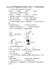 2022-2023学年河南省许昌市禹州市九年级（上）期末化学试卷（含解析）