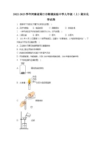 2022-2023学年河南省周口市郸城实验中学九年级（上）期末化学试卷（含解析）