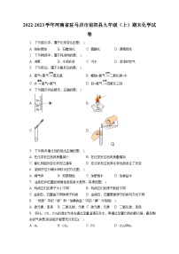 2022-2023学年河南省驻马店市泌阳县九年级（上）期末化学试卷（含解析）