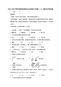 2022-2023学年吉林省吉林市永吉县九年级（上）期末化学试卷（含解析）