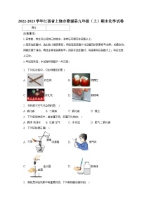 2022-2023学年江西省上饶市婺源县九年级（上）期末化学试卷（含解析）