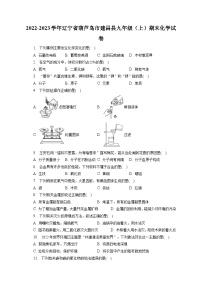 2022-2023学年辽宁省葫芦岛市建昌县九年级（上）期末化学试卷（含解析）