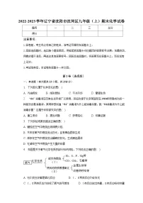 2022-2023学年辽宁省沈阳市沈河区九年级（上）期末化学试卷（含解析）