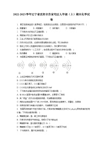 2022-2023学年辽宁省沈阳市苏家屯区九年级（上）期末化学试卷（含解析）