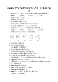 2022-2023学年辽宁省沈阳市苏家屯区九年级（上）期末化学试卷（含解析）