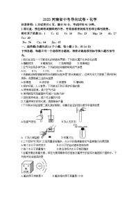 2023年河南省安阳市汤阴县中考模拟化学试题