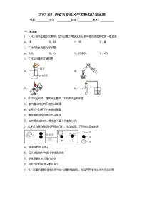 2023年江西省吉安地区中考模拟化学试题(含答案)