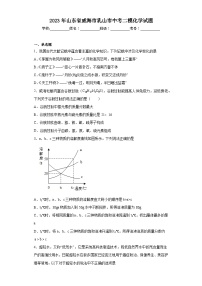 2023年山东省威海市乳山市中考二模化学试题(含答案)