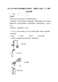 2022-2023学年山东省德州市乐陵市、禹城市九年级（上）期末化学试卷（含解析）