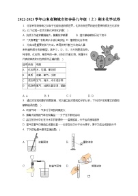 2022-2023学年山东省聊城市阳谷县九年级（上）期末化学试卷（含解析）