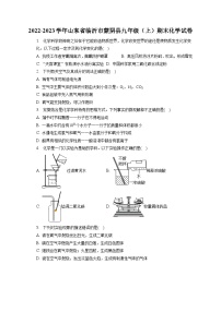 2022-2023学年山东省临沂市蒙阴县九年级（上）期末化学试卷（含解析）