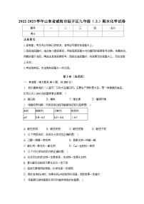 2022-2023学年山东省威海市经开区九年级（上）期末化学试卷（含解析）