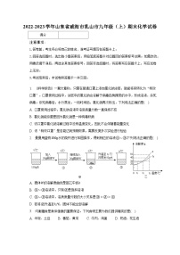 2022-2023学年山东省威海市乳山市九年级（上）期末化学试卷（含解析）