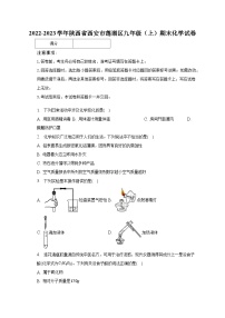 2022-2023学年陕西省西安市莲湖区九年级（上）期末化学试卷（含解析）